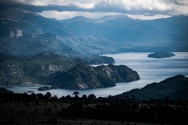 Pehuenia
